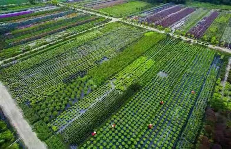 微信圖片_20191202115124.jpg 為公園城市美好而生 | 陌上花開花境園藝邀您參觀2020成都園林景觀展(圖10)