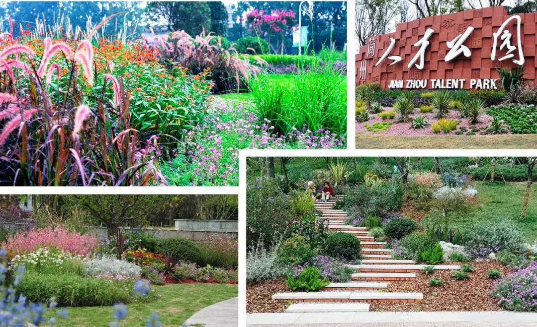 為公園城市美好而生 | 陌上花開花境園藝邀您參觀2020成都園林景觀展(圖11) 為公園城市美好而生 | 陌上花開花境園藝邀您參觀2020成都園林景觀展(圖11)